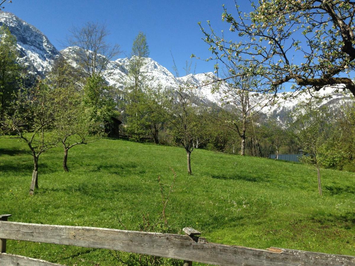 Chalet Ramsau 8 باد غويسرن المظهر الخارجي الصورة